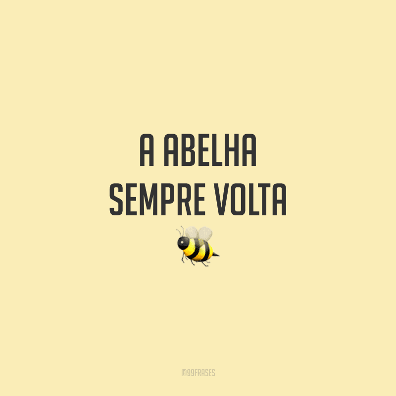 Quando O Mel é Bom A Abelha Sempre Volta