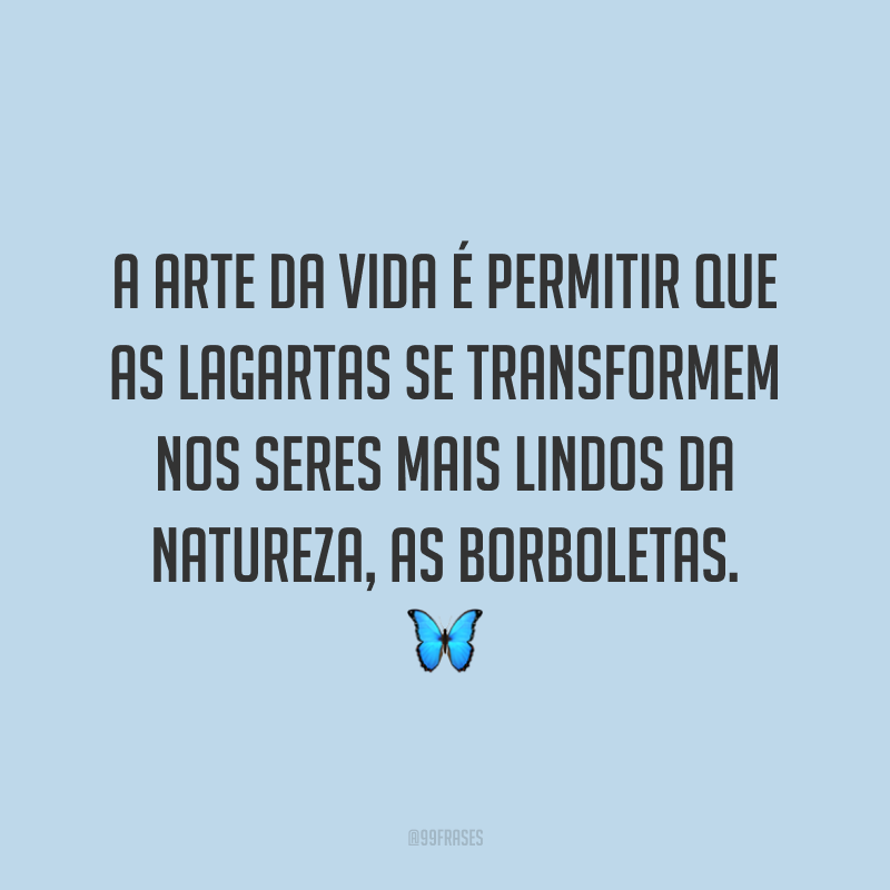 A arte da vida é permitir que as lagartas se transformem nos seres mais lindos da natureza, as borboletas. 🦋