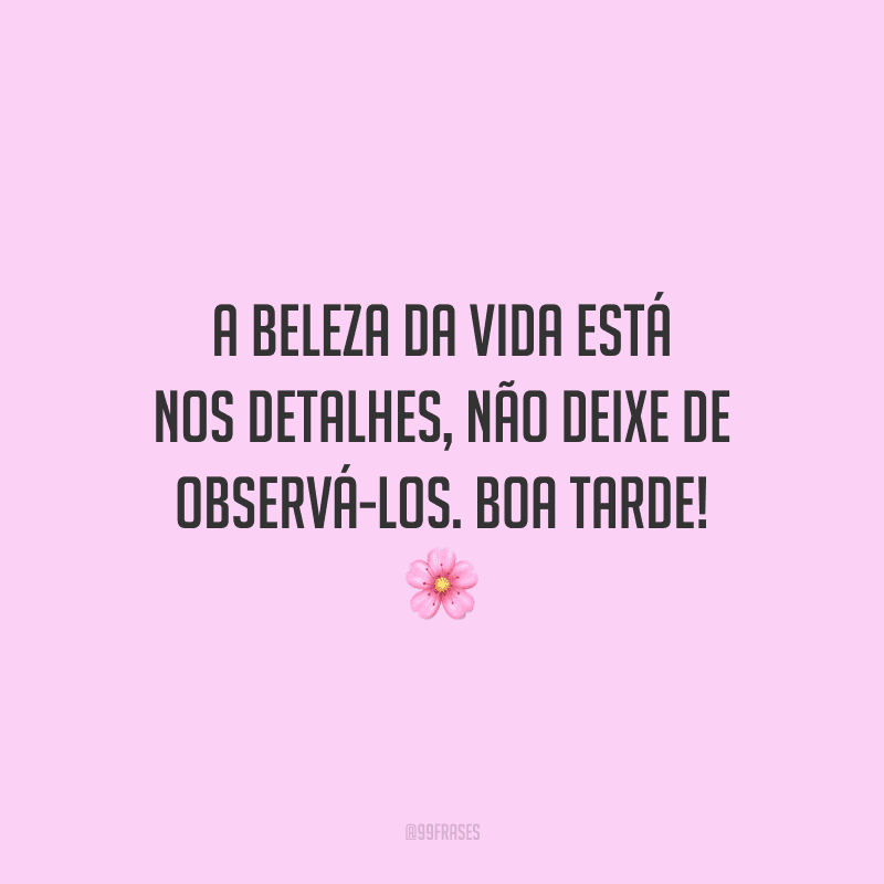 A beleza da vida está nos detalhes, não deixe de observá-los. Boa tarde!