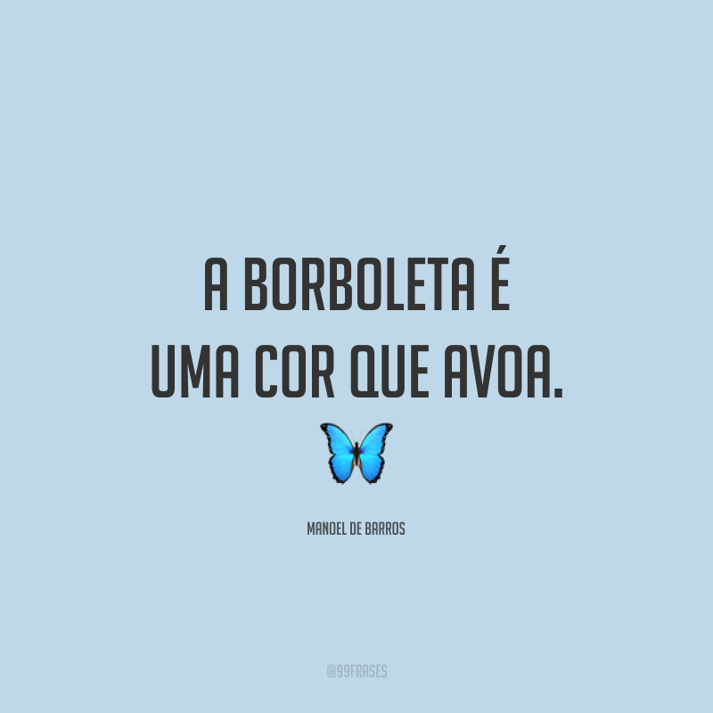 A borboleta é uma cor que avoa. 🦋