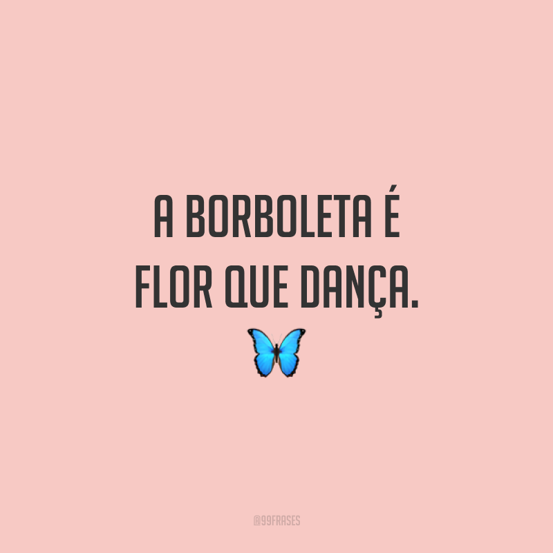 A borboleta é flor que dança. 🦋