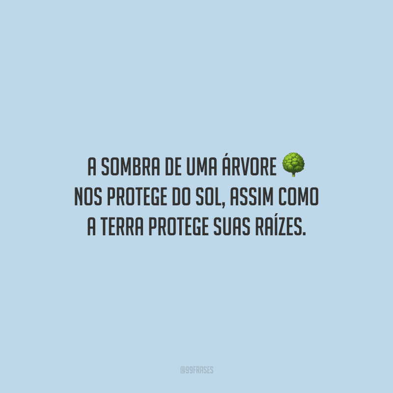 A sombra de uma árvore nos protege do sol, assim como a terra protege suas raízes.