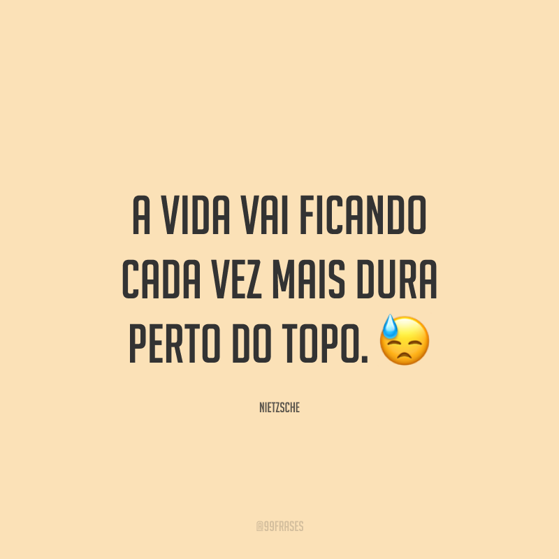 A vida vai ficando cada vez mais dura perto do topo. 😓