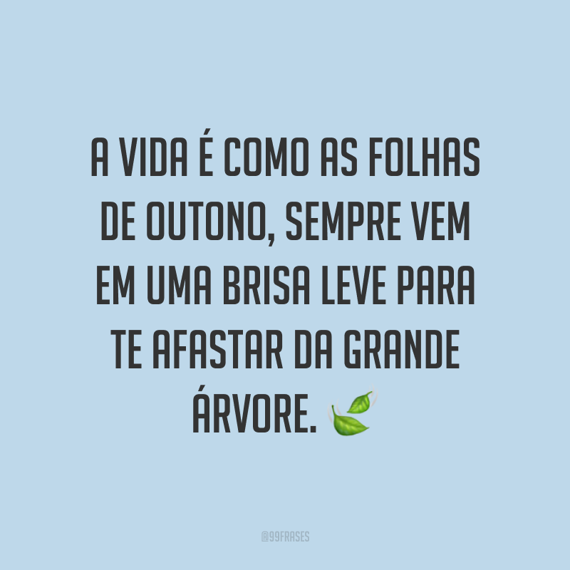 A vida é como as folhas de outono, sempre vem em uma brisa leve para te afastar da grande árvore. ?