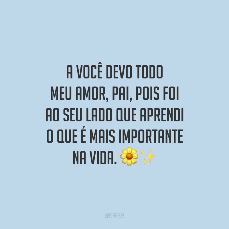 A você devo todo meu amor, pai, pois foi ao seu lado que aprendi o que é mais importante na vida.