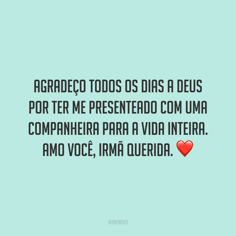 Agradeço todos os dias a Deus por ter me presenteado com uma companheira para a vida inteira. Amo você, irmã querida.