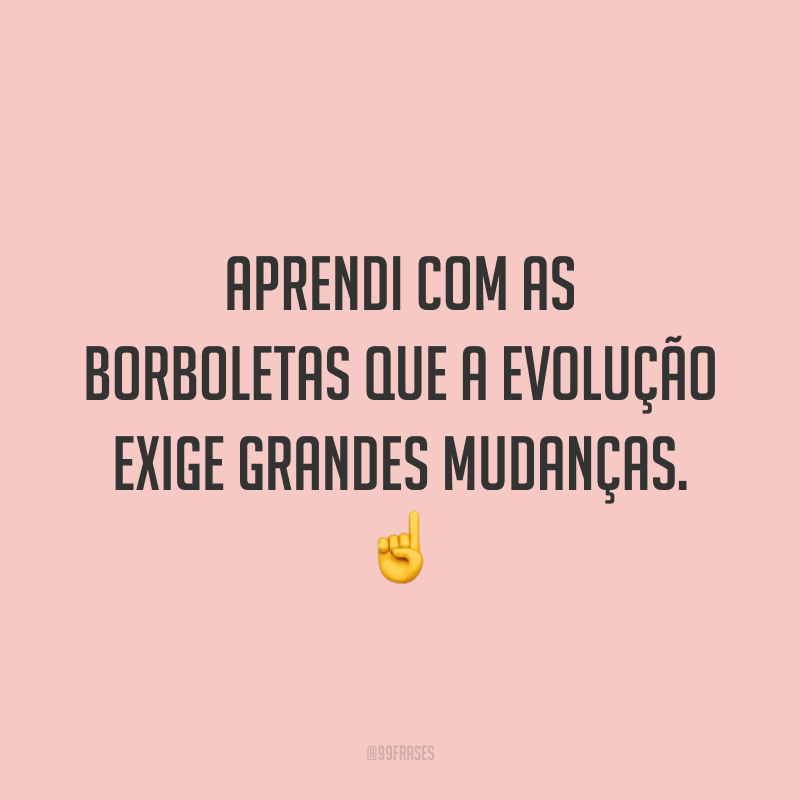 Aprendi com as borboletas que a evolução exige grandes mudanças. ☝️