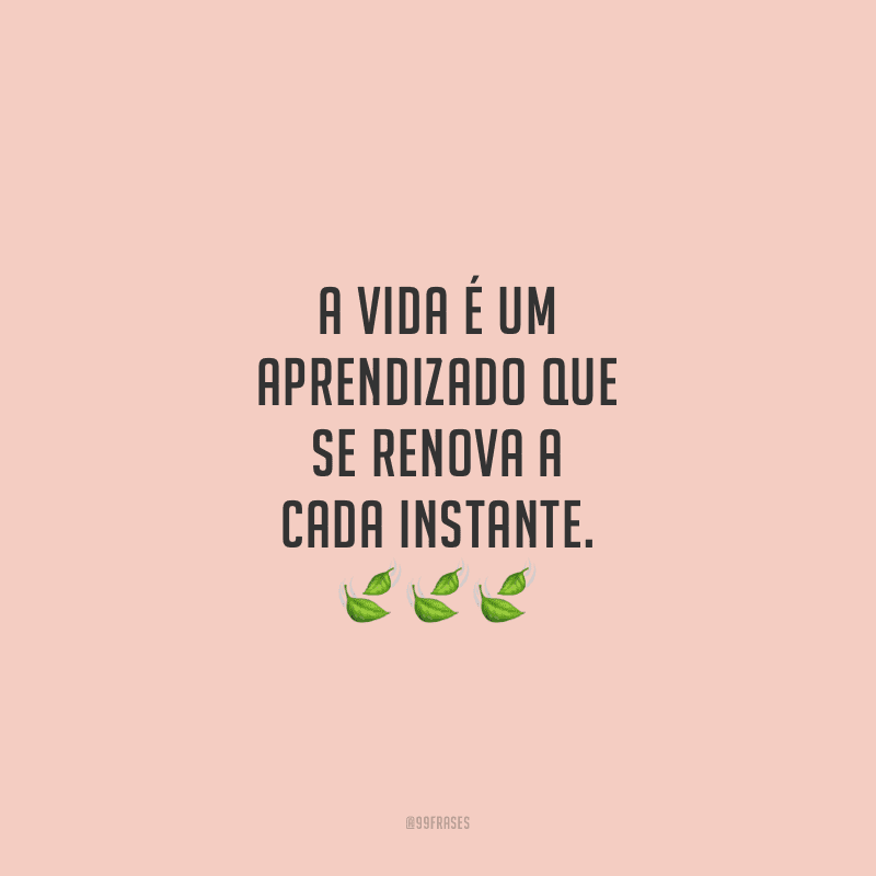 A vida é um aprendizado que se renova a cada instante.