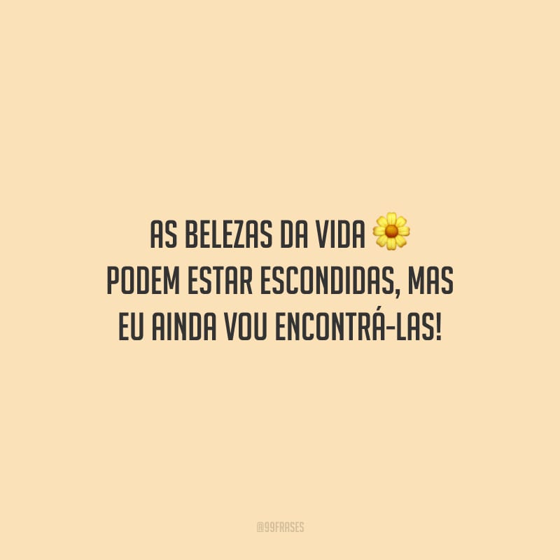 As belezas da vida podem estar escondidas, mas eu ainda vou encontrá-las!