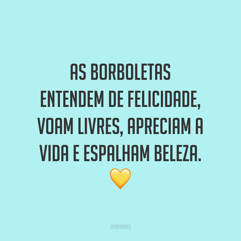 As borboletas entendem de felicidade, voam livres, apreciam a vida e espalham beleza. 💛
