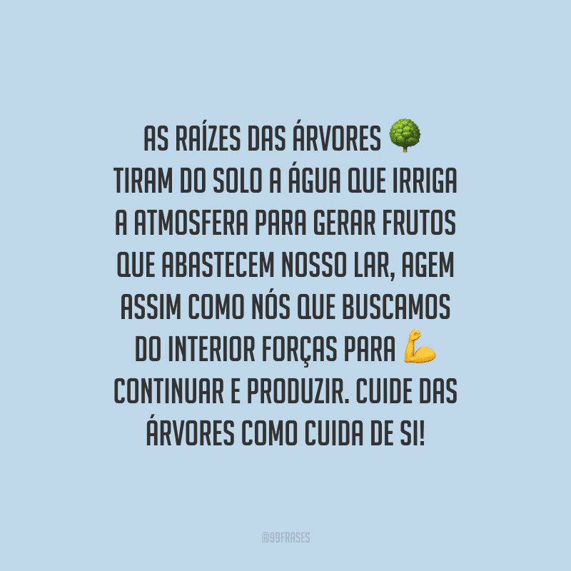 As raízes das árvores tiram do solo a água que irriga a atmosfera para gerar frutos que abastecem nosso lar, agem assim como nós que buscamos do interior forças para continuar e produzir. Cuide das árvores como cuida de si!