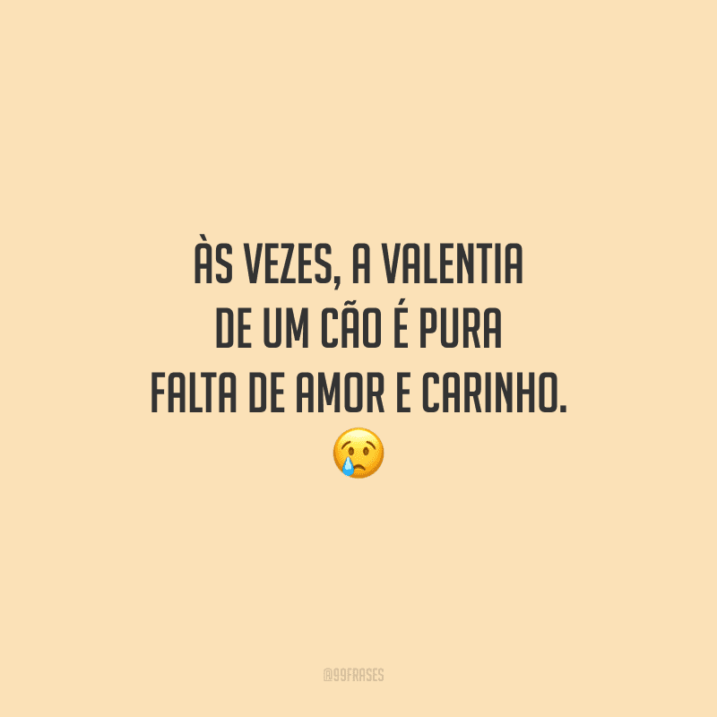 Às vezes, a valentia de um cão é pura falta de amor e carinho.