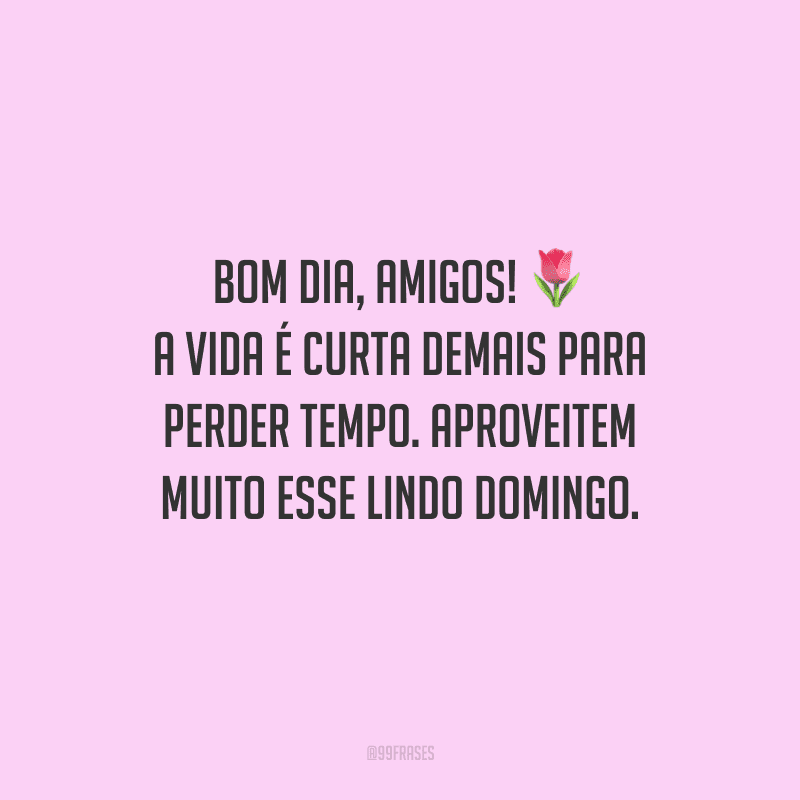 Bom dia, amigos! A vida é curta demais para perder tempo. Aproveitem muito esse lindo domingo.