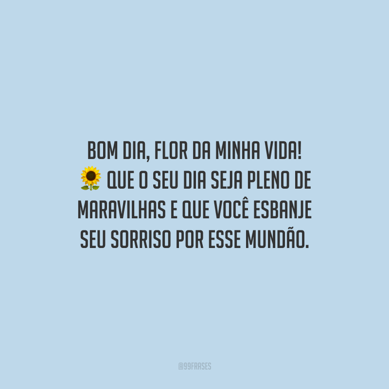 Bom dia, flor da minha vida! Que o seu dia seja pleno de maravilhas e que você esbanje seu sorriso por esse mundão. 