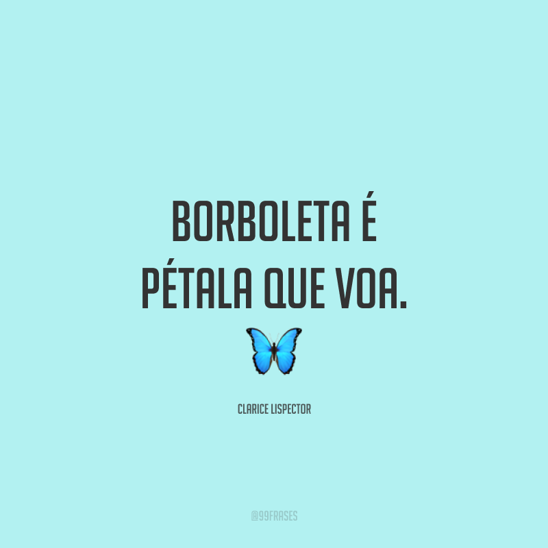 Borboleta é pétala que voa. 🦋