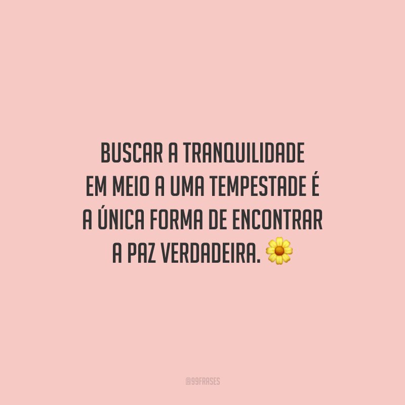 Buscar a tranquilidade em meio a uma tempestade é a única forma de encontrar a paz verdadeira. 🌼