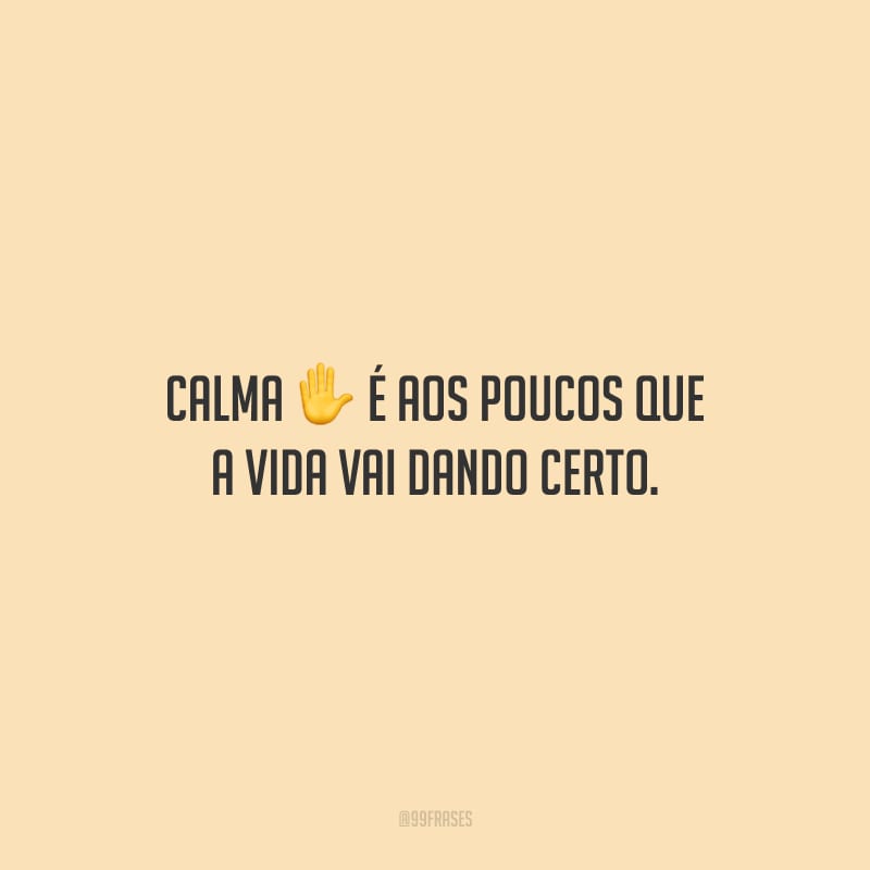 Calma, é aos poucos que a vida vai dando certo.