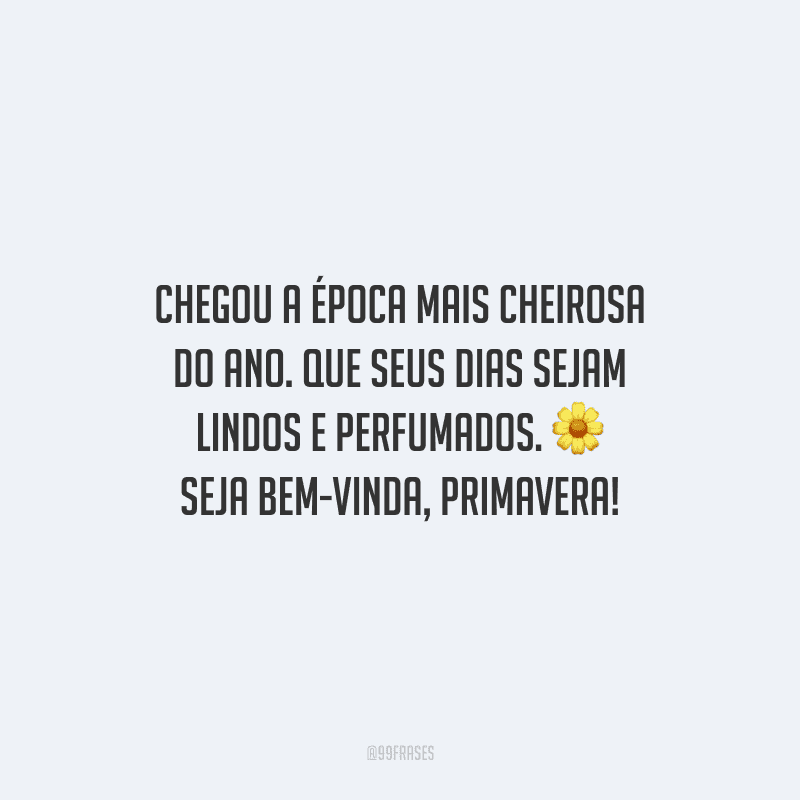 Chegou a época mais cheirosa do ano. Que seus dias sejam lindos e perfumados. Seja bem-vinda, primavera!