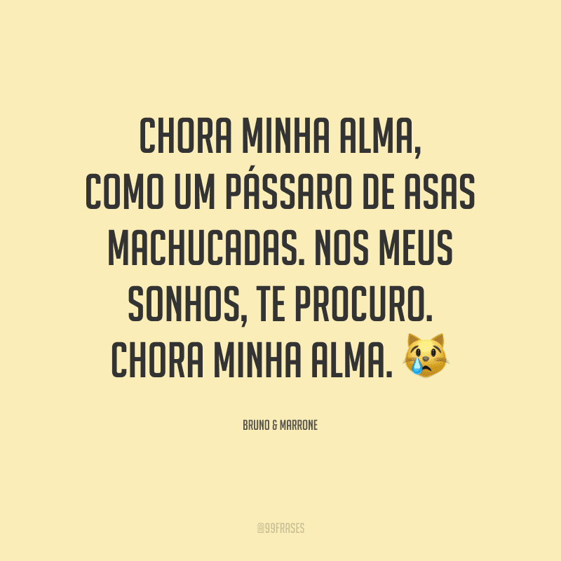 Chora minha alma, como um pássaro de asas machucadas. Nos meus sonhos, te procuro. Chora minha alma.