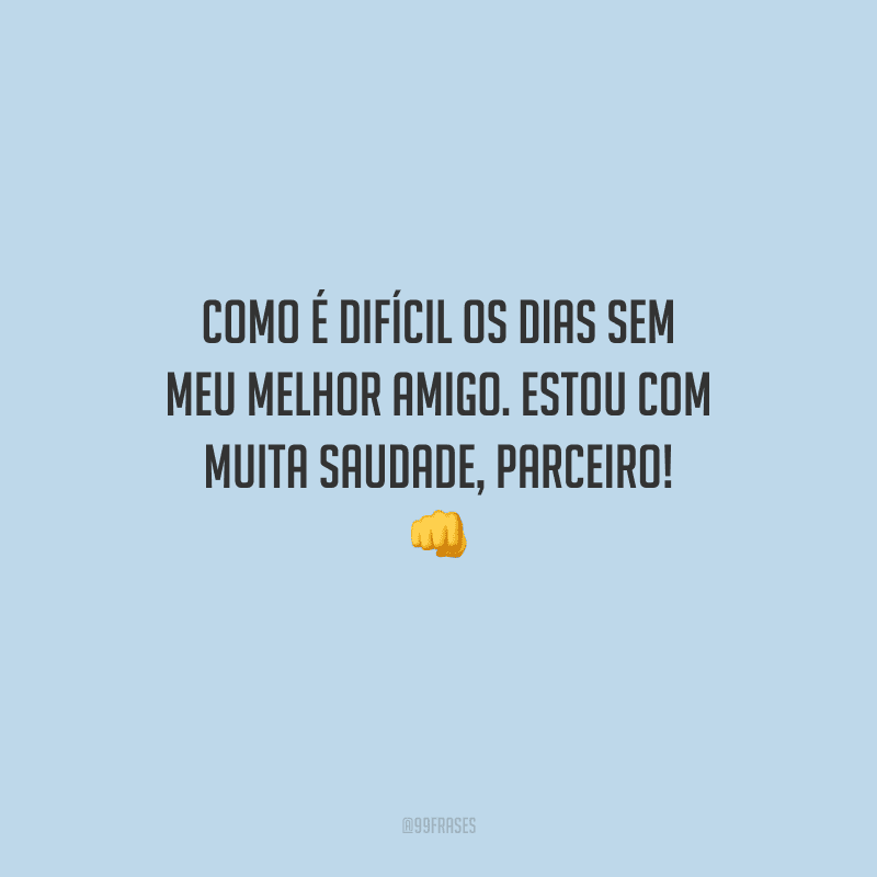 Como é difícil os dias sem meu melhor amigo. Estou com muita saudade, parceiro! 