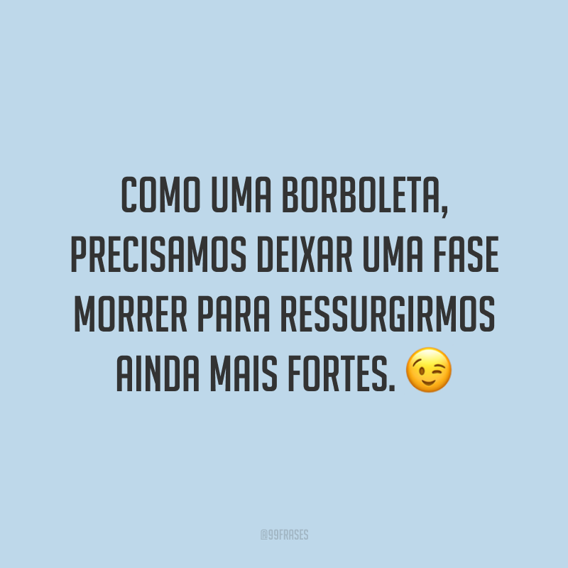 Como uma borboleta, precisamos deixar uma fase morrer para ressurgirmos ainda mais fortes. 😉