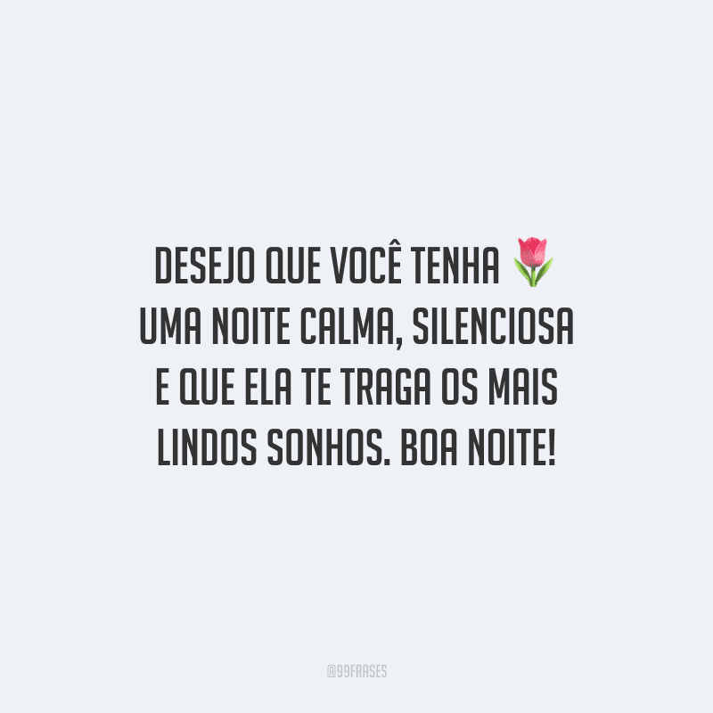 Desejo que você tenha uma noite calma, silenciosa e que ela te traga os mais lindos sonhos. Boa noite!