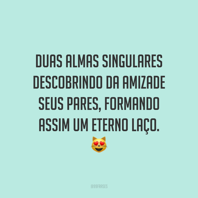 Duas almas singulares descobrindo da amizade seus pares, formando assim um eterno laço. 😻