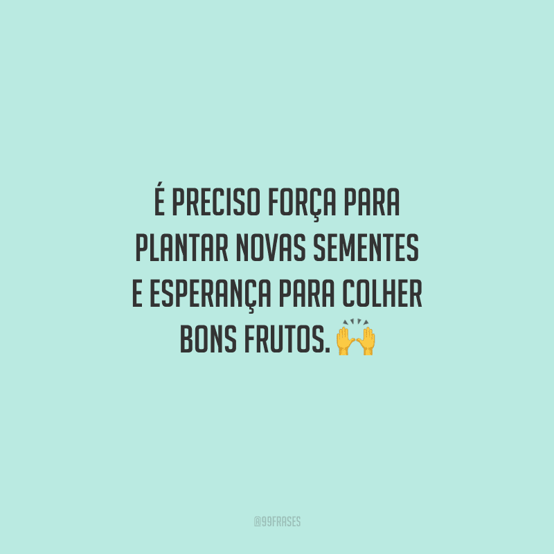 É preciso força para plantar novas sementes e esperança para colher bons frutos. 