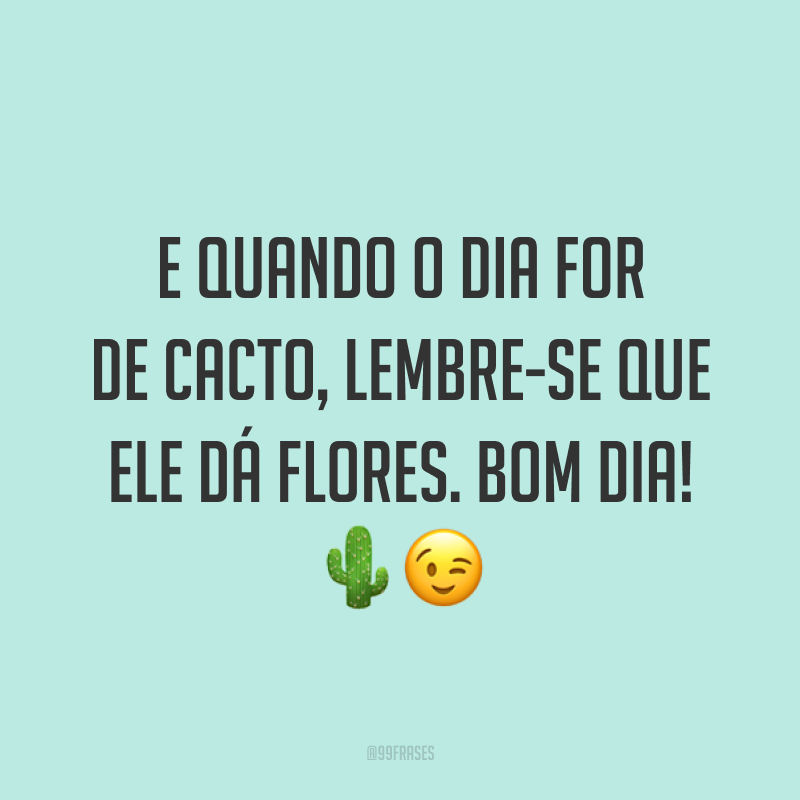 E quando o dia for de cacto, lembre-se que ele dá flores. Bom dia! 🌵😉
