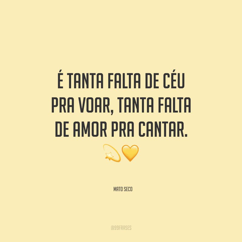 É tanta falta de céu pra voar, tanta falta de amor pra cantar.