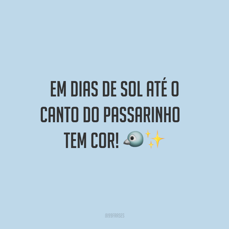 Em dias de sol até o canto do passarinho tem cor!