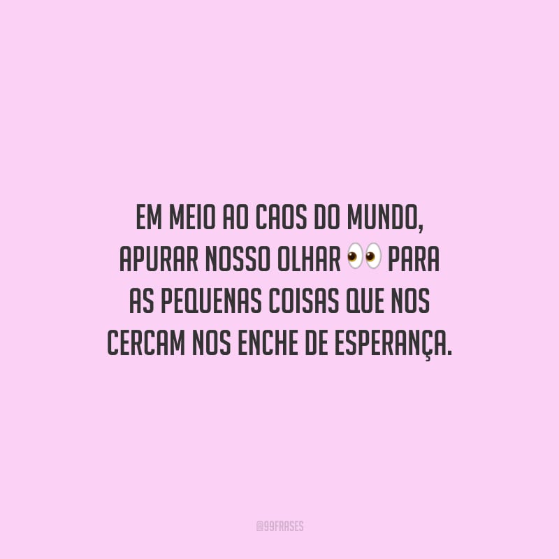 Em meio ao caos do mundo, apurar nosso olhar para as pequenas coisas que nos cercam nos enche de esperança.