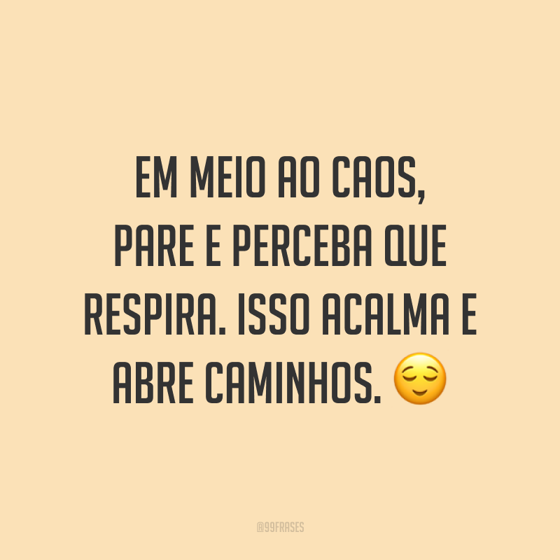 Em meio ao caos, pare e perceba que respira. Isso acalma e abre caminhos. 😌