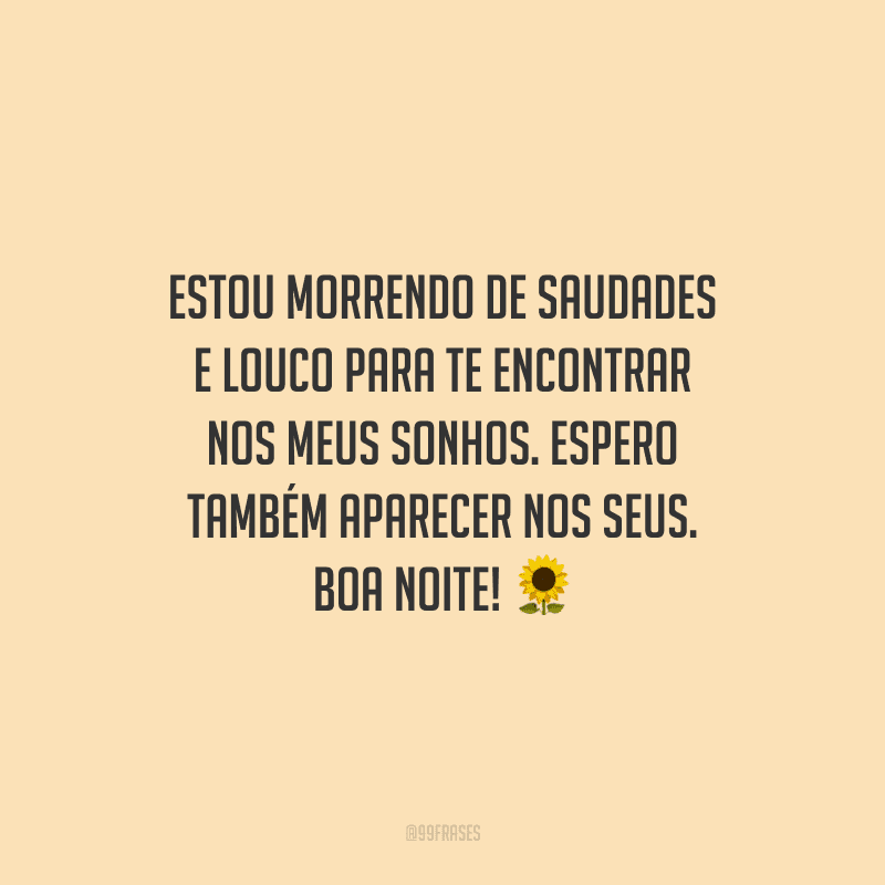 Estou morrendo de saudades e louco para te encontrar nos meus sonhos. Espero também aparecer nos seus. Boa noite!
