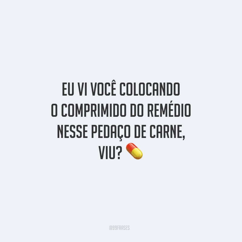 Eu vi você colocando o comprimido do remédio nesse pedaço de carne, viu?