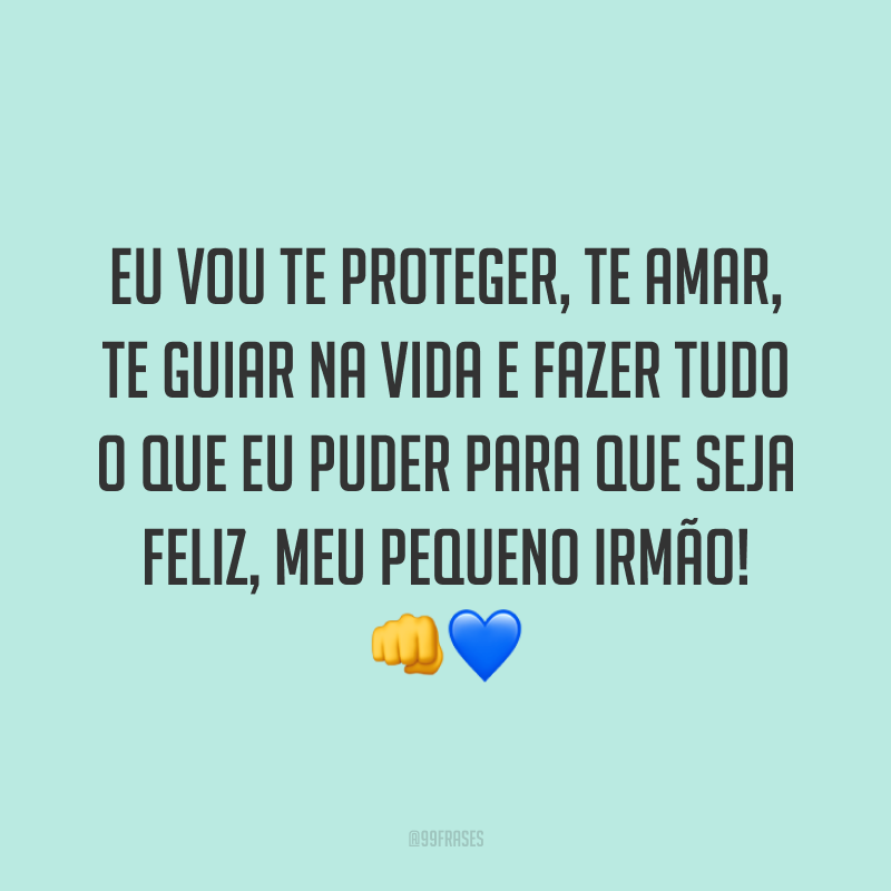 Eu vou te proteger, te amar, te guiar na vida e fazer tudo o que eu puder para que seja feliz, meu pequeno irmão! 👊💙