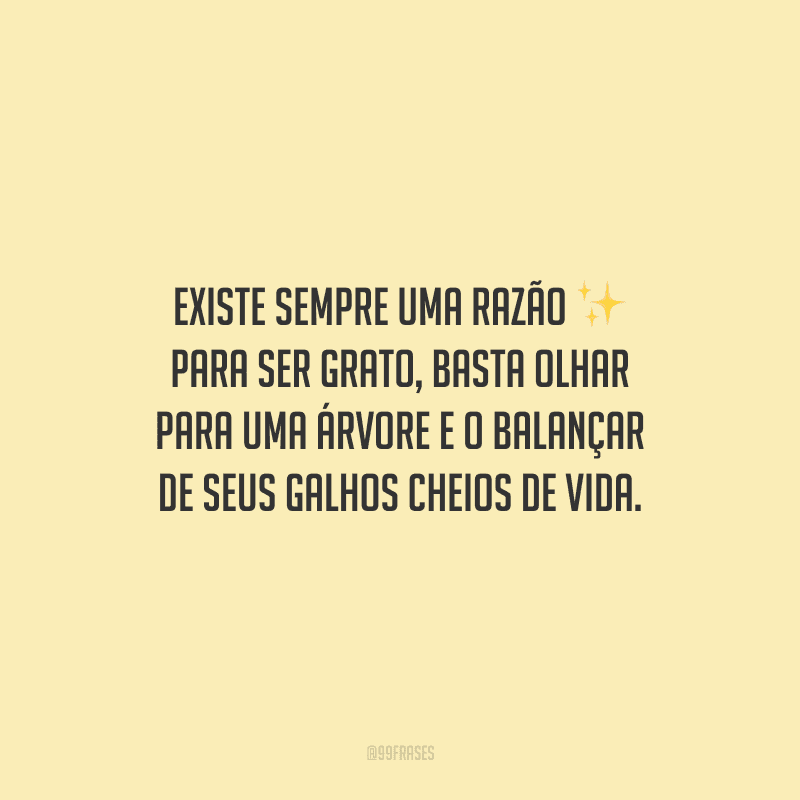 Existe sempre uma razão para ser grato, basta olhar para uma árvore e o balançar de seus galhos cheios de vida.
