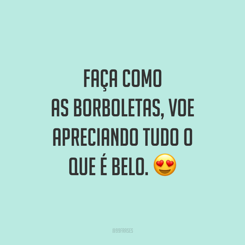 Faça como as borboletas, voe apreciando tudo o que é belo. 😍