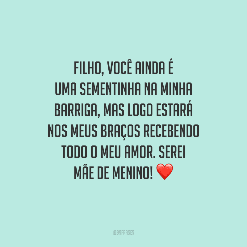 Filho, você ainda é uma sementinha na minha barriga, mas logo estará nos meus braços recebendo todo o meu amor. Serei mãe de menino! 