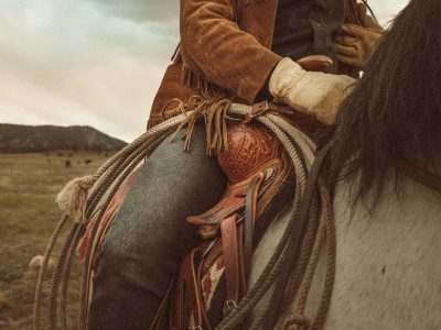 37 frases de vaqueiro para laçar qualquer boiada