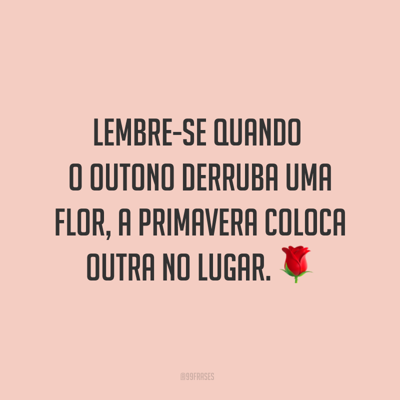 Lembre-se quando o outono derruba uma flor, a primavera coloca outra no lugar. ?