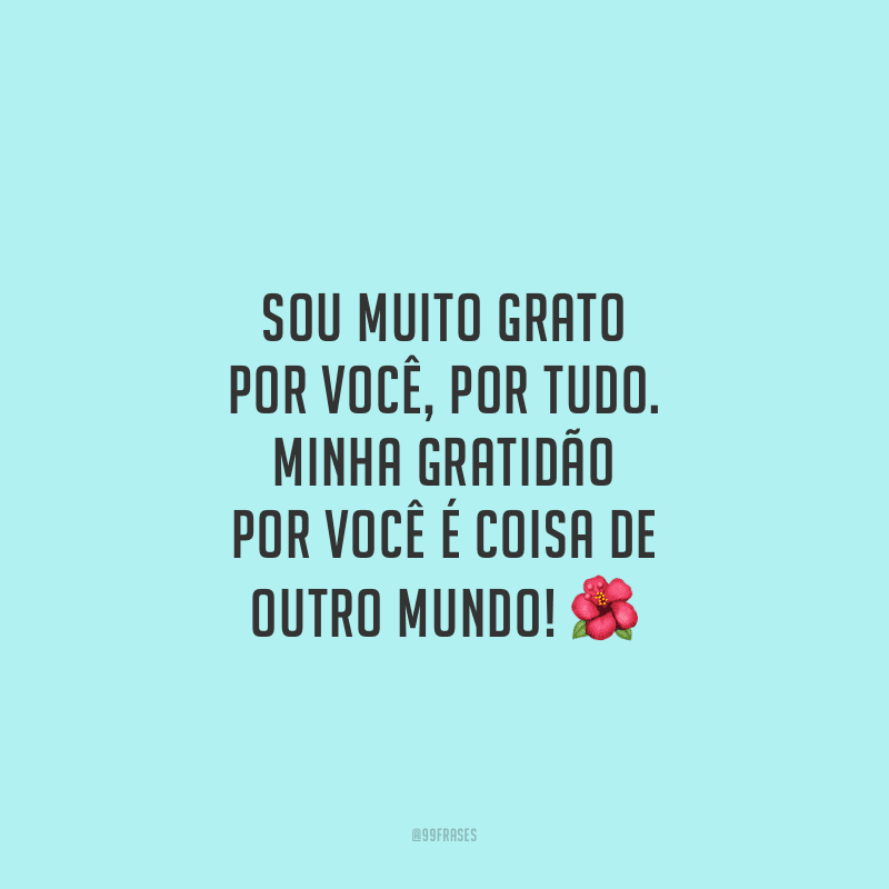 Sou muito grato por você, por tudo. Minha gratidão por você é coisa de outro mundo!