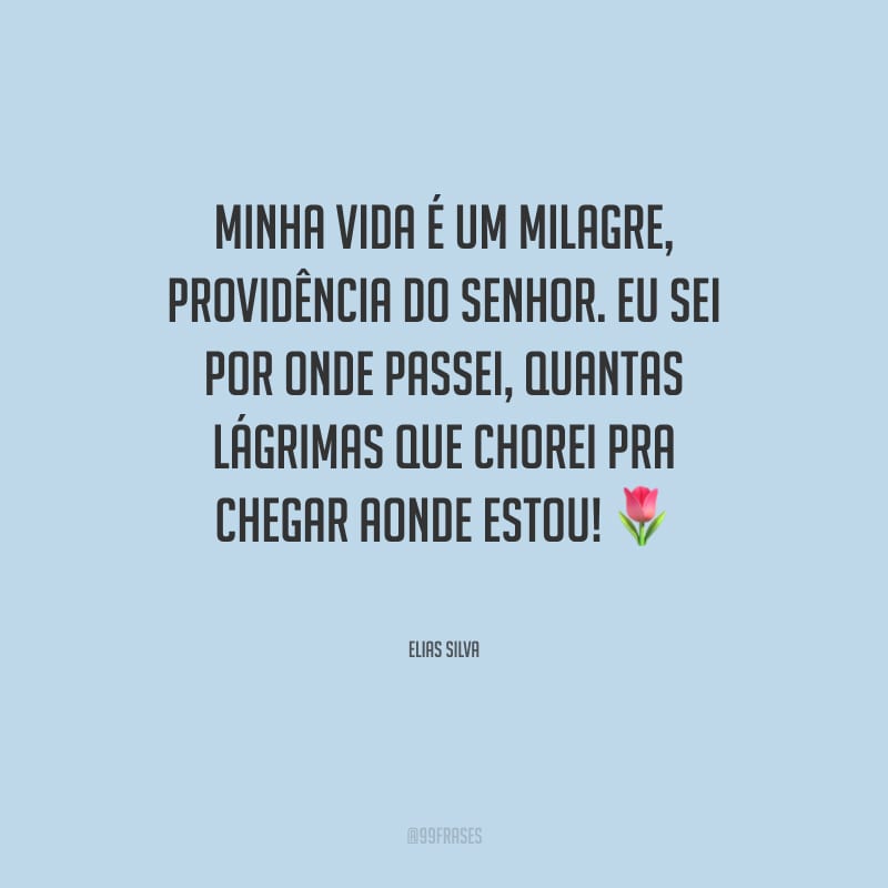 Minha vida é um milagre, providência do Senhor. Eu sei por onde passei, quantas lágrimas que chorei pra chegar aonde estou!