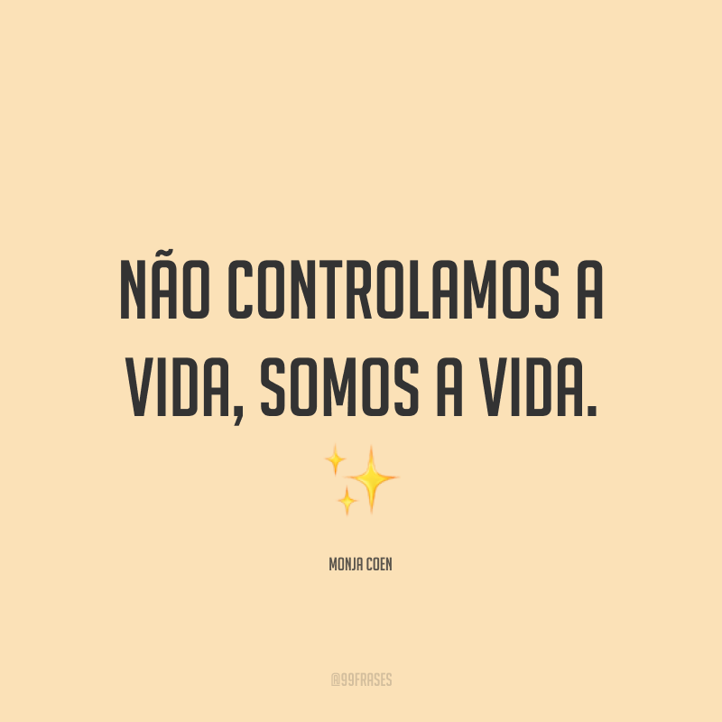 Não controlamos a vida — somos a vida. ✨