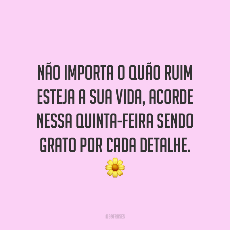Não importa o quão ruim esteja a sua vida, acorde nessa quinta-feira sendo grato por cada detalhe. 🌼