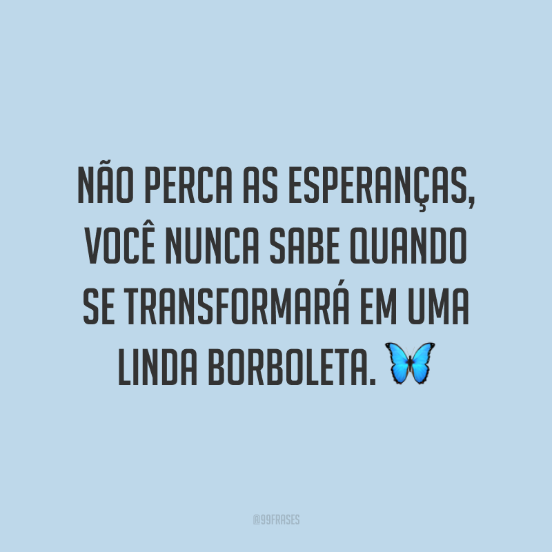 Não perca as esperanças, você nunca sabe quando se transformará em uma linda borboleta. 🦋