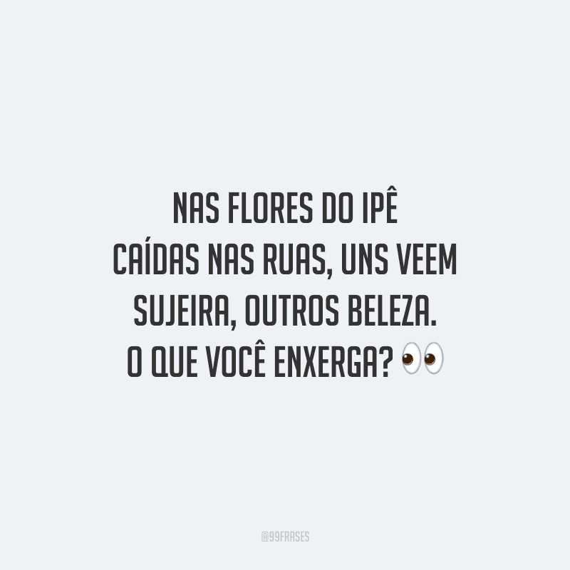 Nas flores do Ipê caídas nas ruas, uns veem sujeira, outros beleza. O que você enxerga?