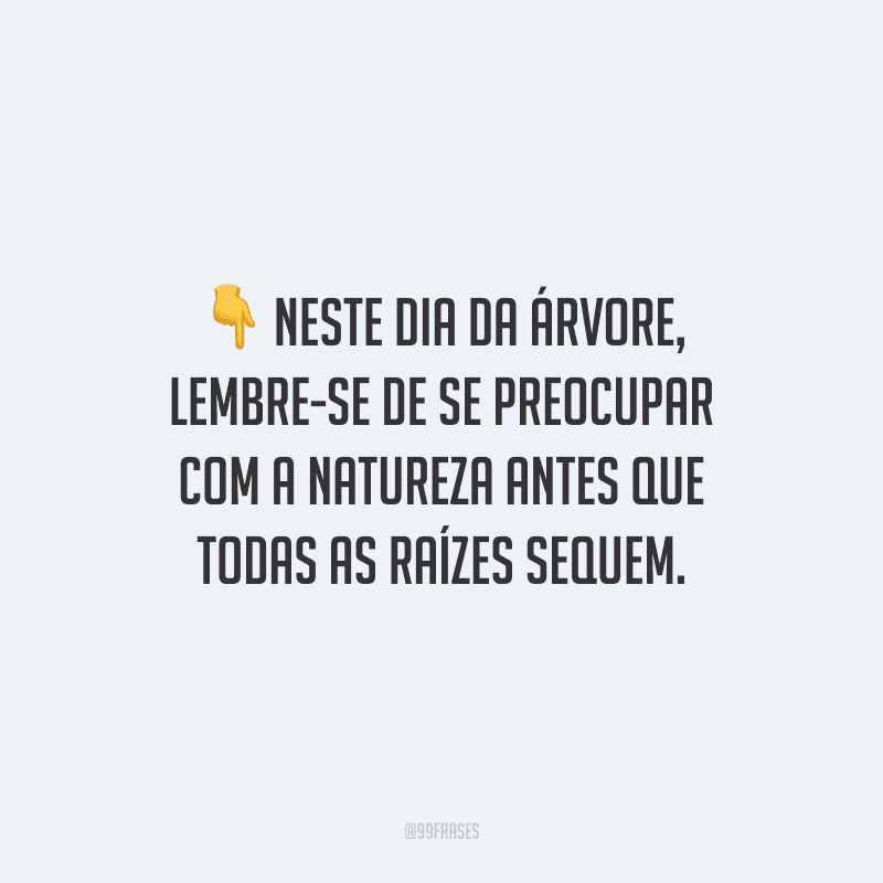 Neste dia da árvore, lembre-se de se preocupar com a natureza antes que todas as raízes sequem.