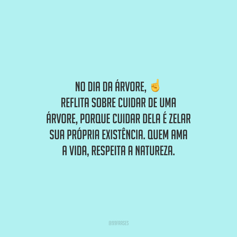 No dia da árvore, reflita sobre cuidar de uma árvore, porque cuidar dela é zelar sua própria existência. Quem ama a vida, respeita a natureza.