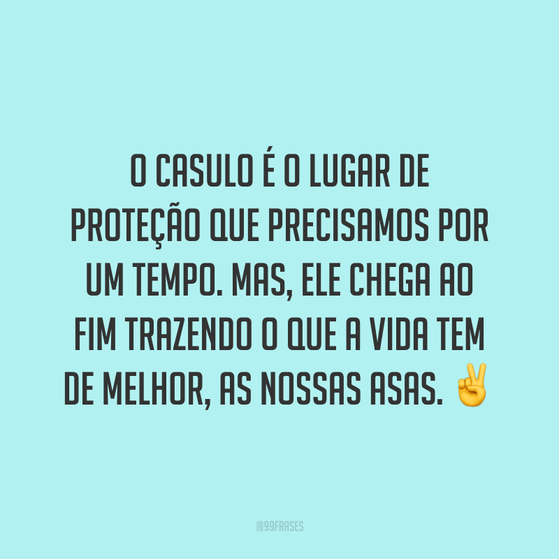 O casulo é o lugar de proteção que precisamos por um tempo. Mas, ele chega ao fim trazendo o que a vida tem de melhor, as nossas asas. ✌️
